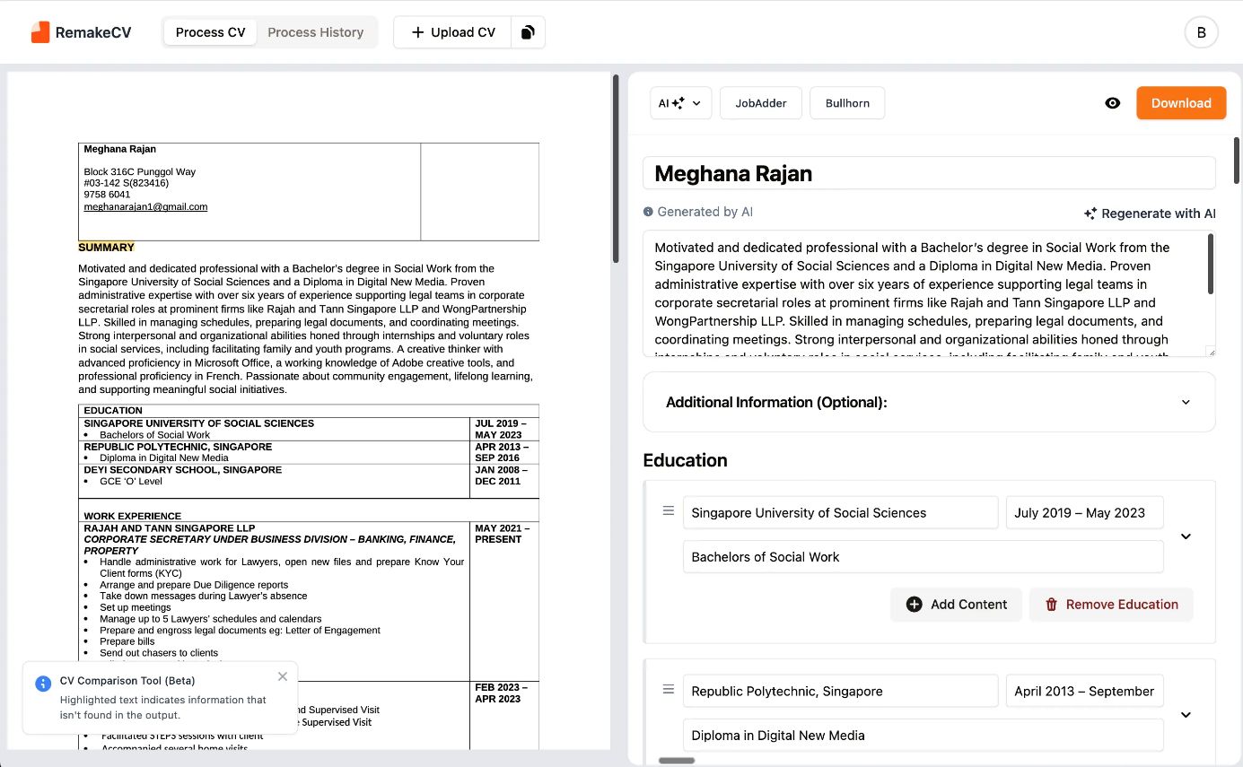 RemakeCV anonymised candidate profile